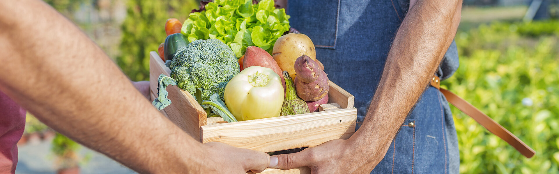 Le marché des quatre saisons